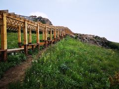 -白草畔自然风景区