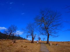 -硗碛藏寨·神木垒景区