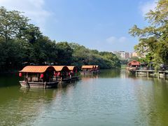 -侨美·唐荔园·40年地道粤菜