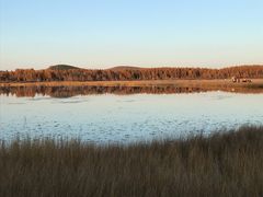 -塞罕坝国家级自然保护区