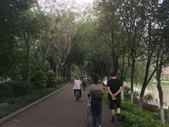 -怡海公园(桂城街道)