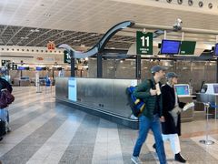 -米兰马尔彭萨国际机场