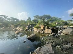 -罗红摄影艺术馆