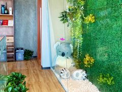 -了不起的考拉咖啡店(高新店)