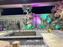 -金水鹤温泉国际酒店