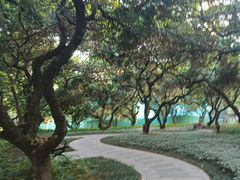 -荔香公园