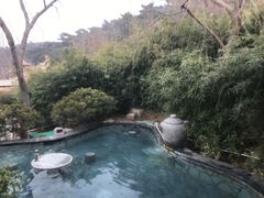 -徂徕山森林康养度假谷温泉