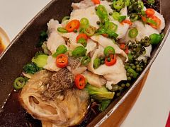 鲜椒鲈鱼-大铁勺新津菜(迎水道店)