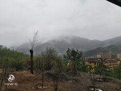 -黄金寨原生态旅游区