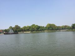 -上海鲜花港