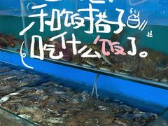-港畔赶海蒸汽海鲜烧烤自助(仙螺岛店)