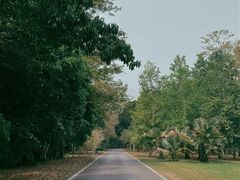 -中国科学院西双版纳热带植物园