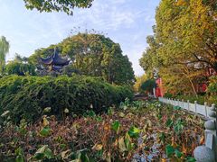 -丝绸小镇荻港古村