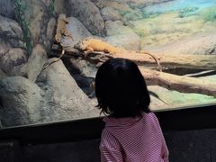 -福州罗源湾海洋世界旅游区