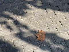 -中央戏剧学院(昌平校区)