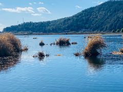 -腾冲北海湿地