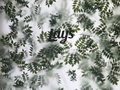 -Calix&Lay's(新天地店)