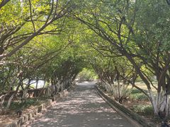 -烟台山景区