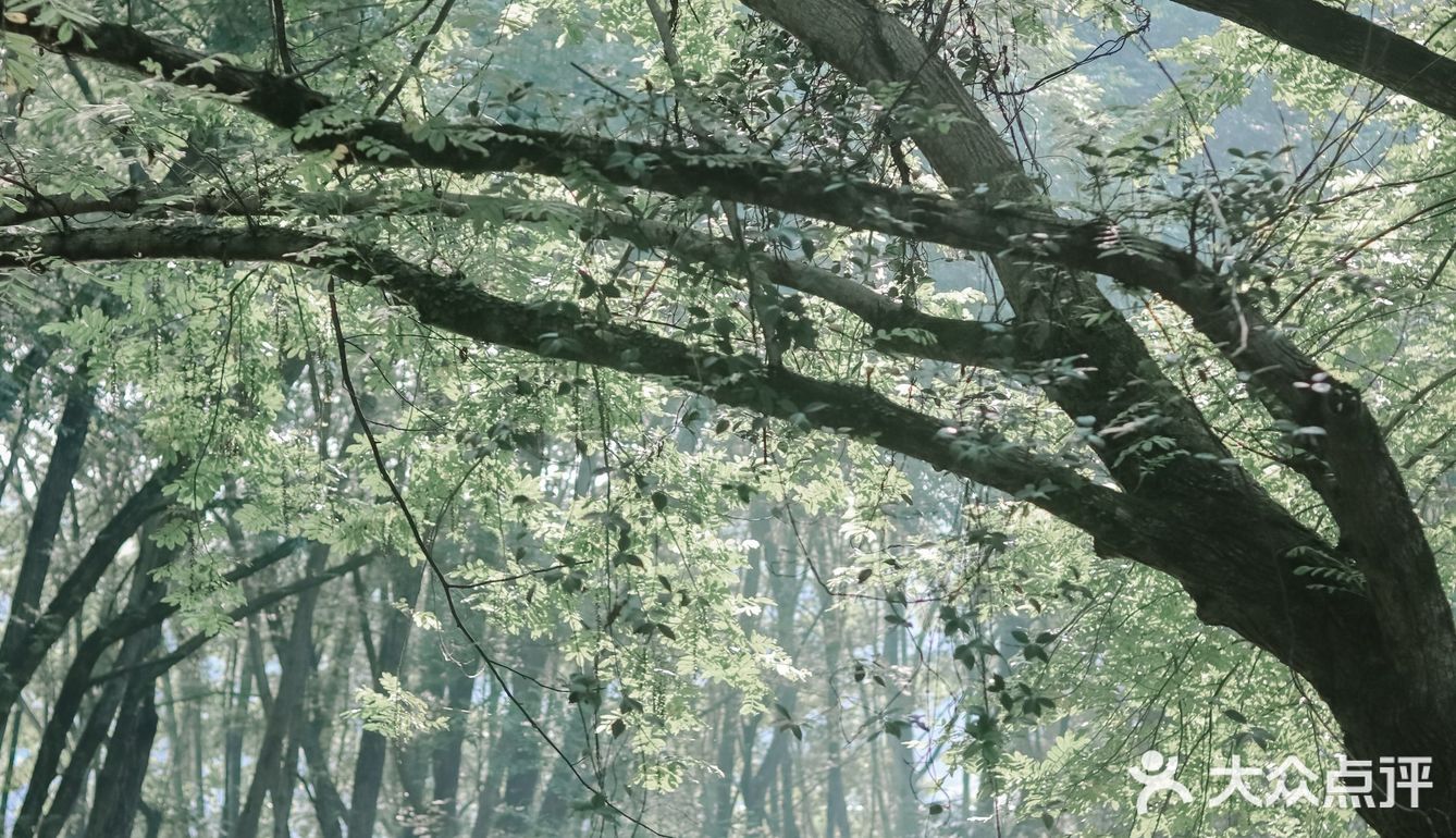 黄山·西溪南古村落 | 闯入童话中的绿野仙踪