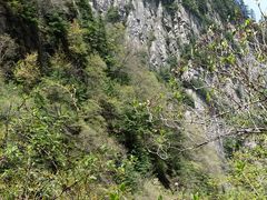 -青峰峡国家森林公园