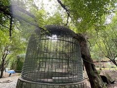 -吉林市朱雀山国家森林公园