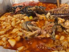 -红辣椒·川菜·火锅(大洋中心店)