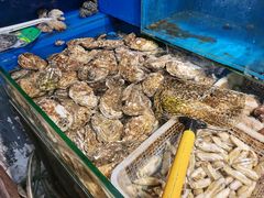 -潮庭·大连海鲜·炭火烧烤·扇贝王(大连店)