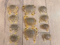 -三亚海棠湾喜来登度假酒店