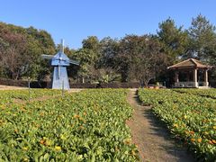 -广州市流溪河国家森林公园