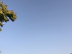-中华世纪坛