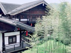 -大唐贡茶院