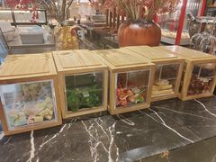 -广州万富希尔顿酒店·感趣自助餐厅·金秋蟹宴生蚝海鲜刺身