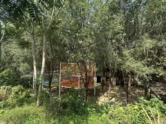 -西部长青自然儿童乐园