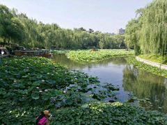 -皇家御河游(紫御湾码头)