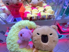 -海底捞火锅(北京路店)