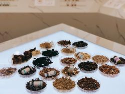 -采之汲·云南白药集团