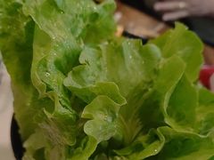 -福合埕牛肉丸(福平路店)