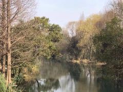 -昆山城市生态森林公园
