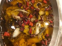 -鑫巴蜀小镇 · 水煮鱼专研店(玉桥店)