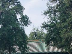 -关林