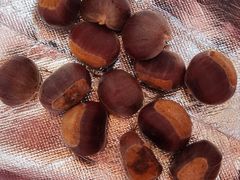 -上海佘山国家森林公园天马山园