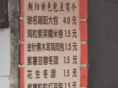 -朝阳东莞大包第一家