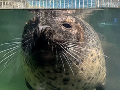 -福州罗源湾海洋世界旅游区