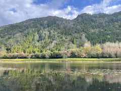 -腾冲北海湿地