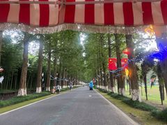 -黄海国家森林公园