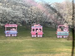 -苏州上方山国家森林公园