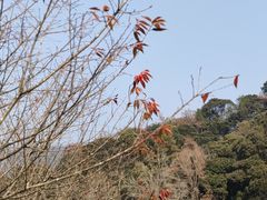 -韶关经律论国际酒店温泉