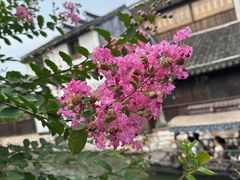 -南浔古镇