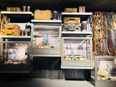 -奥兰多迪士尼动物王国乐园