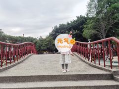 -金砂公园